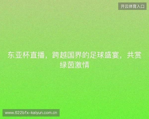 东亚杯直播，跨越国界的足球盛宴，共赏绿茵激情
